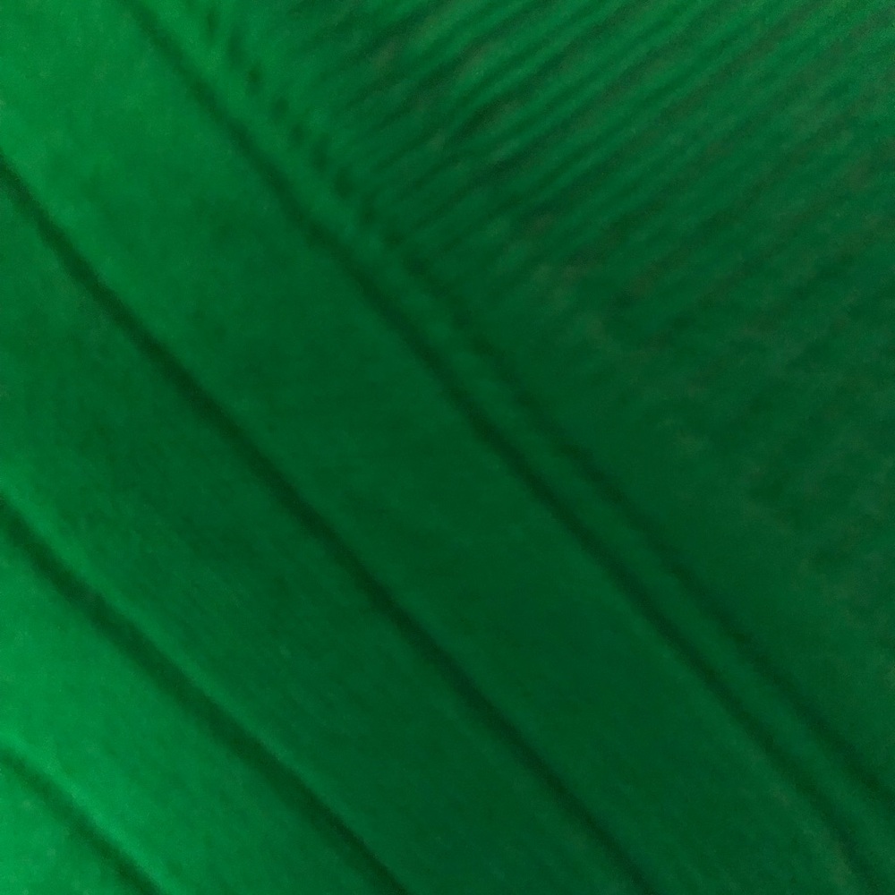Just Female Green Knitwear - Picture 5 of 6